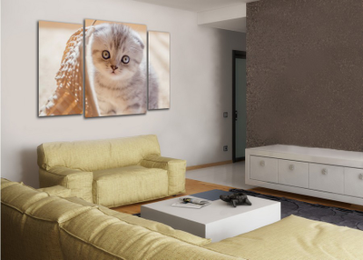 Модульная картина "Маленький в корзиночке"