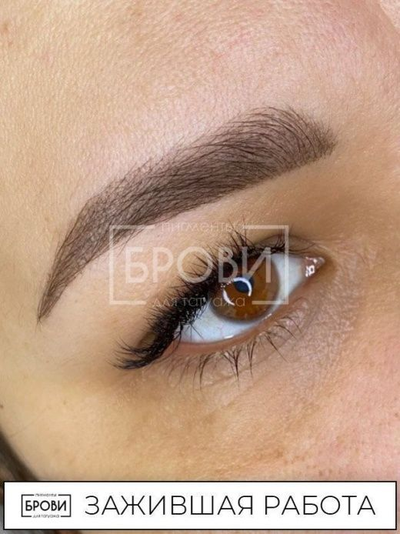 Жареный каштан Пигмент для татуажа - БРОВИ, 10мл