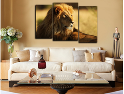 Модульная картина "Взгляд короля Саванны"