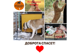 21.12 мы передали наши с вами подарки подопечным куратора Яны (приют АМСТАФФ-GROUP). За период с 06.11 по 21.12 сумма по благотворительным купонам составила 3755 руб. Всем, кто принимает участие в акции, большое спасибо!