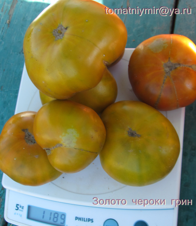 Томат  Золото Cherocee Green (Золото Чероки грин)