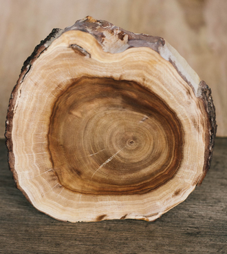 Разрезанный ствол сандалового дерева, обнажающий сердцевину.