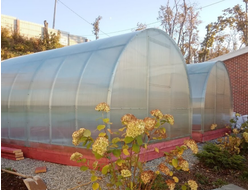 Теплица «Дачница Усиленная» 3*10 м. Сотовый поликарбонат 4 мм.