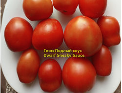Томат Гном Подлый соус Dwarf Sneaky Sauce)
