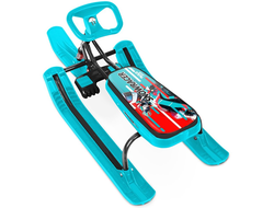 Продажа снегокатов Team Sport 3.0 (Teal/Black) в Иркутске по низким ценам