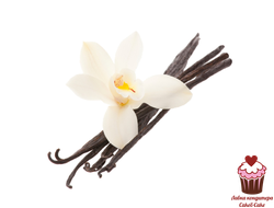 Ваниль и бобы тонка