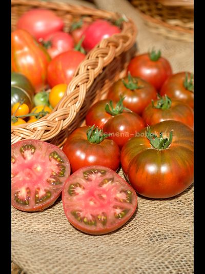 Томат Ярсон 16 (Jarson 16), 10 шт