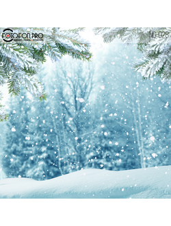 Фотофон виниловый «Зимний лес»