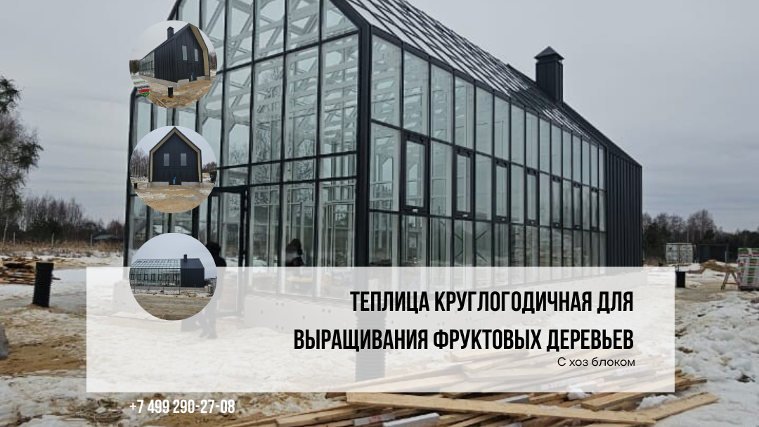 Теплица круглогодичная для выращивания фруктовых деревьев производство Красивые телицы
