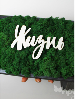 ЖИВАЯ ЭКО-КАРТИНА 1054