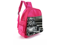 Рюкзаки Fallout, Фоллаут