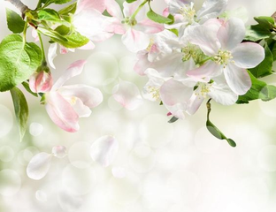 FLORALOL (IFF)
