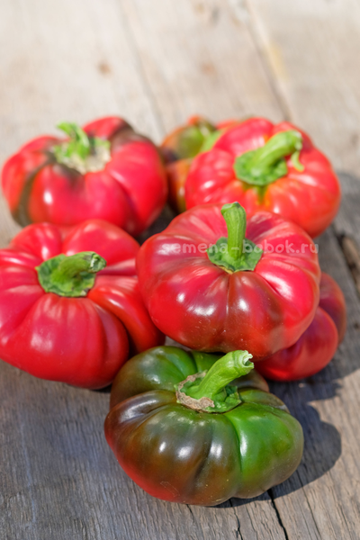 Перец сладкий Александр, 10 шт