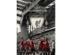 Пазл Ливерпуль, Liverpool FC №7