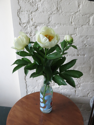 Пион Moonrise (Мунрайз)