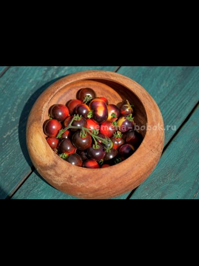 Томат Blaue Zimmertomate (Синий комнатный томат), 10 шт