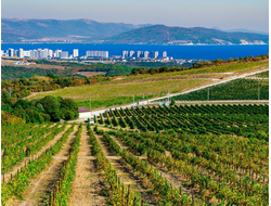 КРАСНОДАРСКИЙ КРАЙ