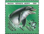 6218. Фауна Черного моря. Дельфин афалина