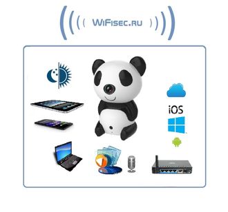 IP видеоняня WiFi-LAN видеокамера с DVR , HD (MIPC)