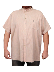 Классическая рубашка для мужчин большого размера арт. 145821-212 (цвет бежевый)  Размеры 74-78