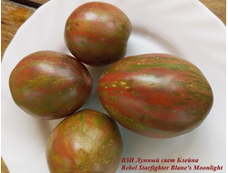 ВЗИ Лунный свет Блейна (RS Blaine's Moonlight)