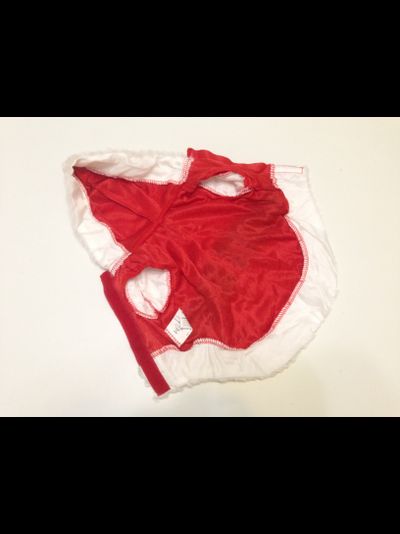 Шубка для собаки Санта