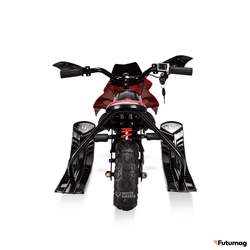 Электроснегокат White Siberia Belek 800W