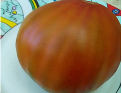 Томат Бунте Пфлауме (Красочная слива, Bunte Pflaume)