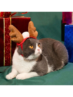 Рожки для собак и кошек