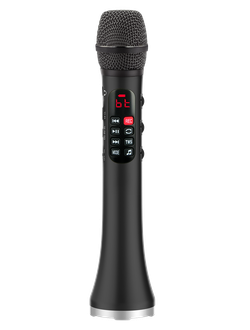 профессиональный   караоке-микрофон      L-1038DSP  25w