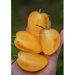 Томат Рыжая Комета Софии, 10 шт