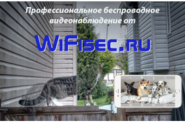 WiFi технологии видеонаблюдения с сервисом P2P, IP видеоняни