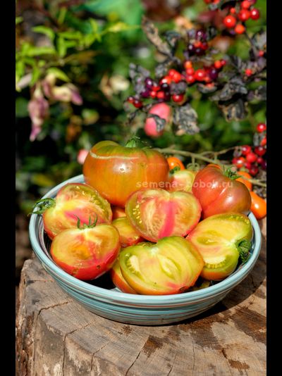 Томат Кленовое Сердце, 10 шт