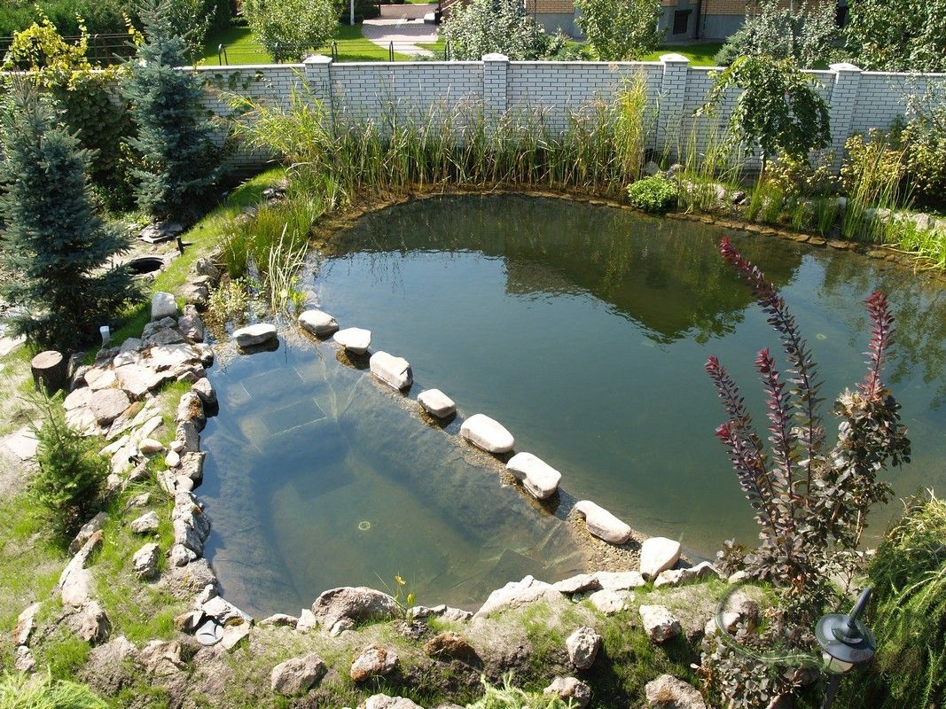 создание искусственного пруда в Евпатории