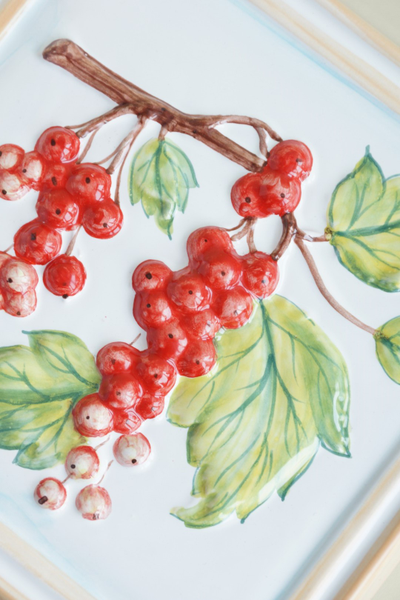 Смородина красная