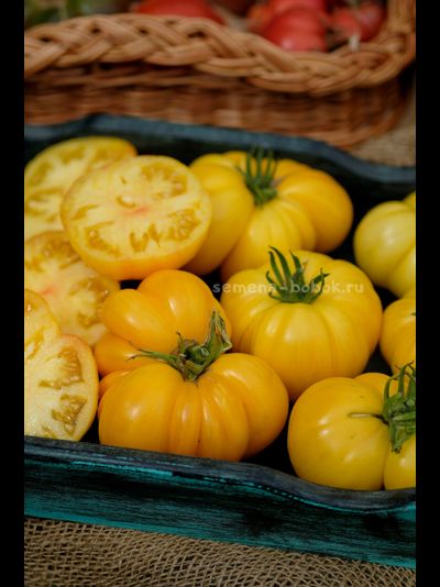 Томат CDOXCDH Б. Хортона, 10 шт