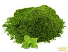 Порошок мяты, 50 г, производство Индии; Pudina Powder, 50 g, India