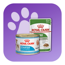 Royal Canin