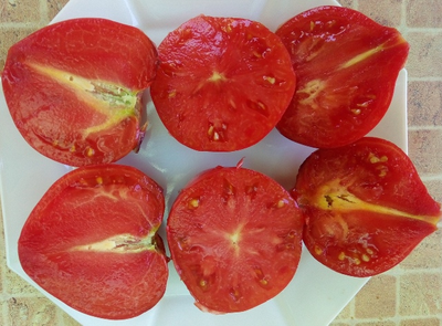 Томат KAS-21, Польша