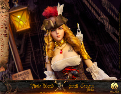 Эльфийка-пират Аиша - КОЛЛЕКЦИОННАЯ ФИГУРКА 1/6 Captain Aisha (WS018A) - War Story