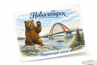 Почтовая открытка 10-15 см Новосибирск бугринский мост+медведь