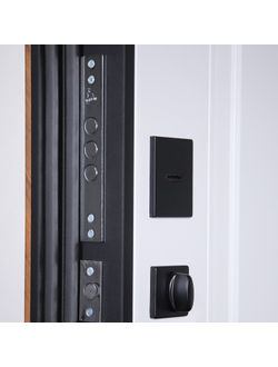 Стальная дверь   Plata (биометрический замок  Smart lock DZ 888)