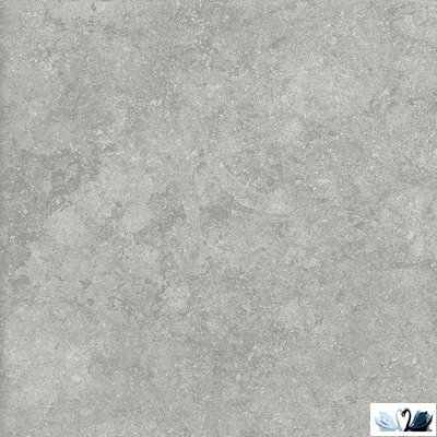 Керамогранит Alpas Euro Outdoor Fossil Gris 2 cм 60x60 см