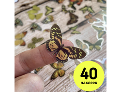 Наклейки. Бабочки. Синие (40 шт.)