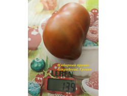 Томат Имбирный Пряник (Gingerbread, Греция)