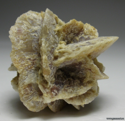 Кварц по селениту. США. 25*25*25мм.