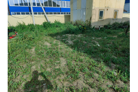 Разлиновка территории