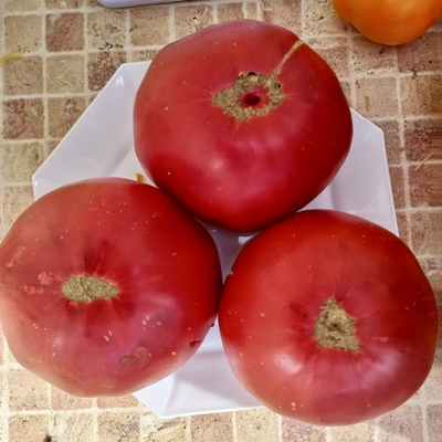 Томат Тидвелл немецкий (Tidwell German)