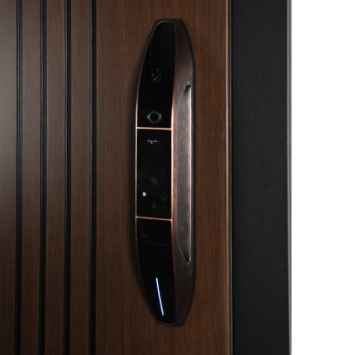 Стальная дверь   Фиджи. Заказная модель.