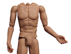 Мужское тело с бесшовными руками - КОЛЛЕКЦИОННАЯ ФИГУРКА 1/6 one-piece forearm of the body (AT020s) - Worldbox
